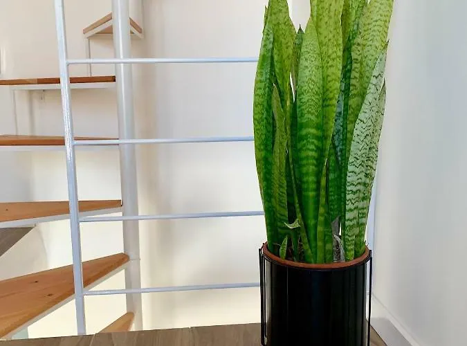 Anthony's Sea مرسلوك