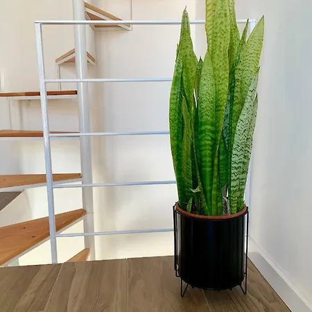 Anthony's Sea 马尔萨什洛克